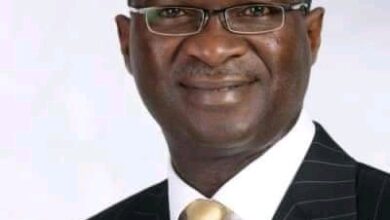 Bai ka mata Matasan Nijeriya su ke ficewa daga kasar ba - Fashola