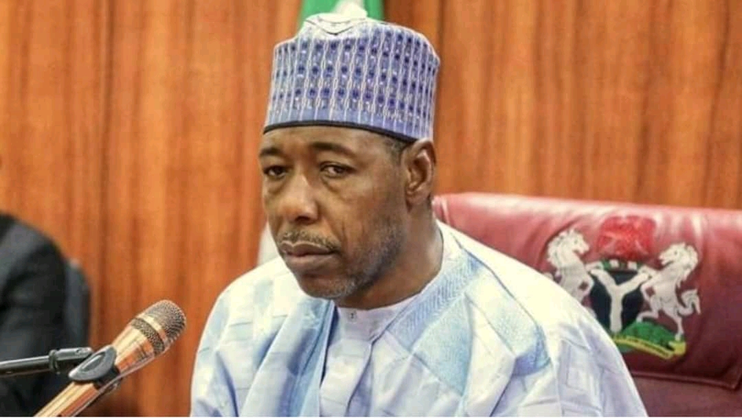 Dokar haraji: Gwamnonin Arewa ba adawa su ke da Tinubu ba, in ji Gwamna Zulum