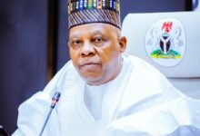 Yan Najeriya 10,000 ake tsare da su bisa laifukan shige da fice a 2024 - Shettima