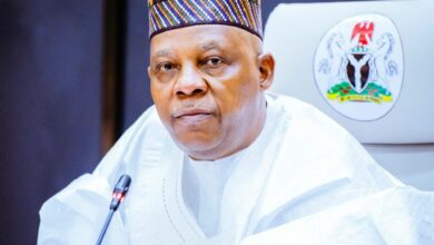 Yan Najeriya 10,000 ake tsare da su bisa laifukan shige da fice a 2024 - Shettima