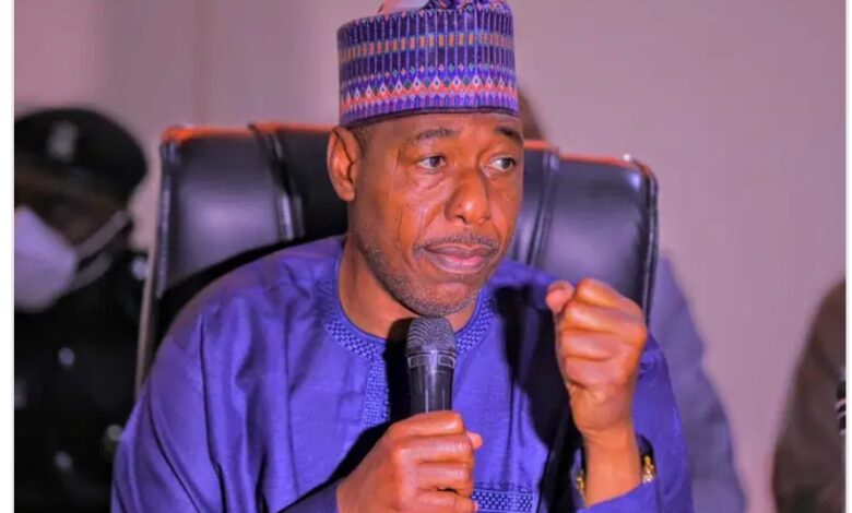 Zulum ya nemi tallafin bankin duniya don farfado da jihar Borno da rage ambaliyar ruwa 2024